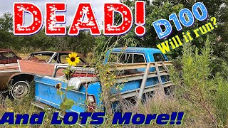 Dead old dodge! by TC Finds 1,358 views 10 months ago 19 minutes