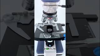 Ice Cube under Microscope 🔬 बर्फ के अंदर क्या दिखा? 😱 #shorts #facts
