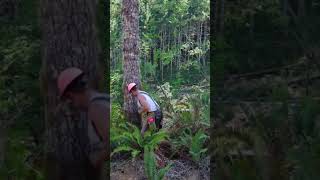 Timber Industry Strong #logger #timberfaller #treefelling #logging #forestry #bluecollar #pnw
