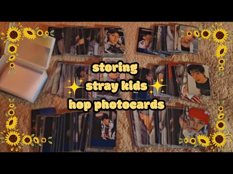 K-POP+アジア Stray Kids - Jeongin collectbook pcholder BK+WH set Amazon.com: Korean Pop SKZOO Stray Kids Trading PhotoCard