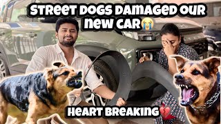 🦮street Dogs  Nama Car Ah Ippadi Norukiduchu🥹romba Kashtama Iruku |nama Exter காருக்கு நடந்த கொடுமை😭