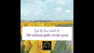 Ayetel Kürsi 🦋 Bakara 255 🎙️ Abdullah al Musa Resimi