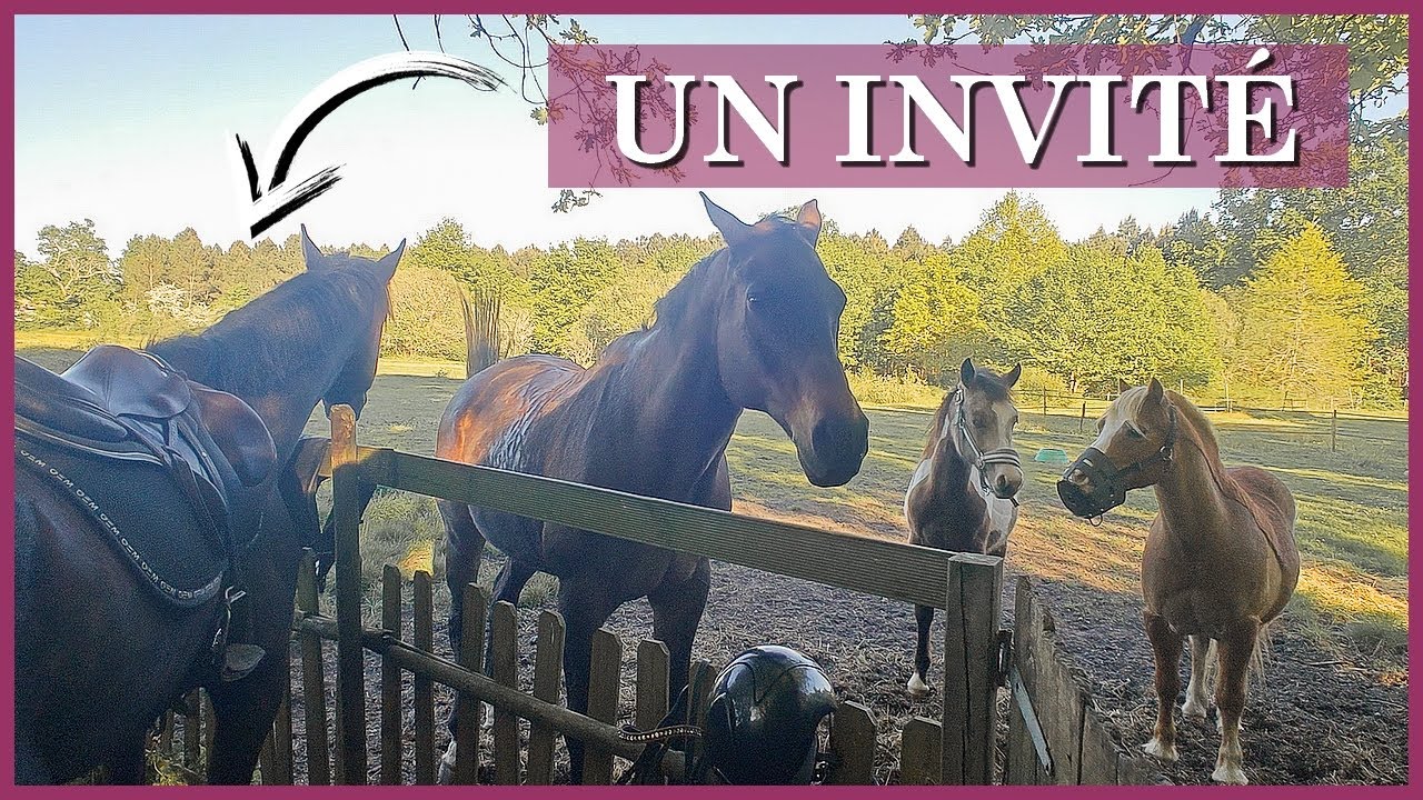 COMMENT VA RÉAGIR BALY ? - On se fait complètement semer !! 💨💨