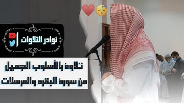 عشائية جديدة وآيات ينبغي أن تدبرها بتحبير مؤثر للقارئ عبدالرحمن ناجي من سورة البقرة #عشائيات 1443