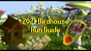 2021 OSRS Birdhouse Run Guide