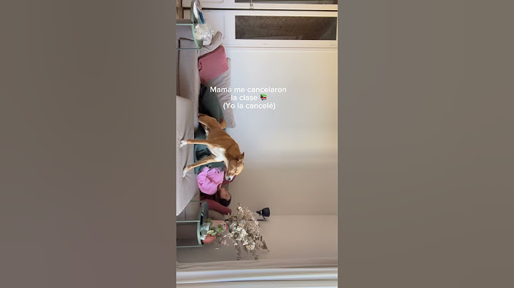 Mamá me cancelaron la clase (Yo la cancelé)