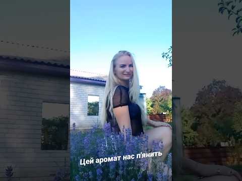 ЛАВАНДА | ТАК ПАХНЕ ЛАВАНДА І І В ОЧАХ МОЇХ ПРАВДА | ЦЕЙ АРОМАТ НАС П'ЯНИТЬ | #лаванда #lavanda