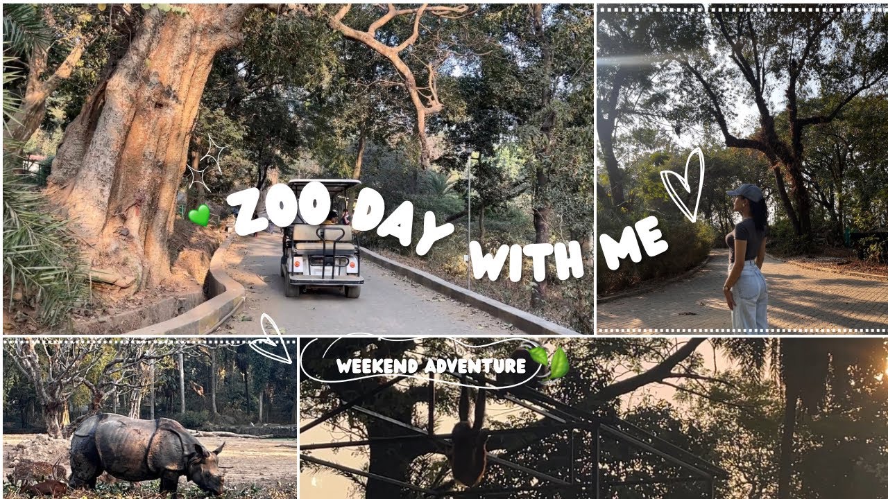WEEKEND AT THE ZOO /	GUWAHATI VLOG 🍃🧸ྀི.✦ ݁˖
