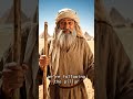 Evacuating Egypt with Moses | Biblical Risk Management #BibleFunny #Moses #Miracle