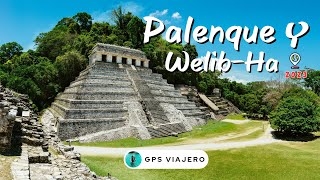 PALENQUE Chiapas 4K y CASCADAS WELIB-HA 🔴 ZONA ARQUEOLÓGICA MAYA 2023 | GPS Viajero 🧔🏾‍♂️👩🏻‍🦳 by GPS Viajero 1,986 views 10 months ago 16 minutes