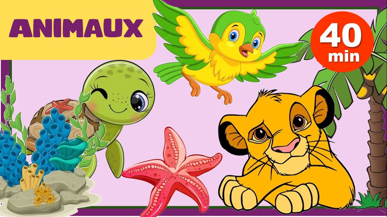 Les ANIMAUX pour les ENFANTS - Animaux SAUVAGES, AQUATIQUES, OISEAUX ... (PARTIE 3) - Vocabulaire.