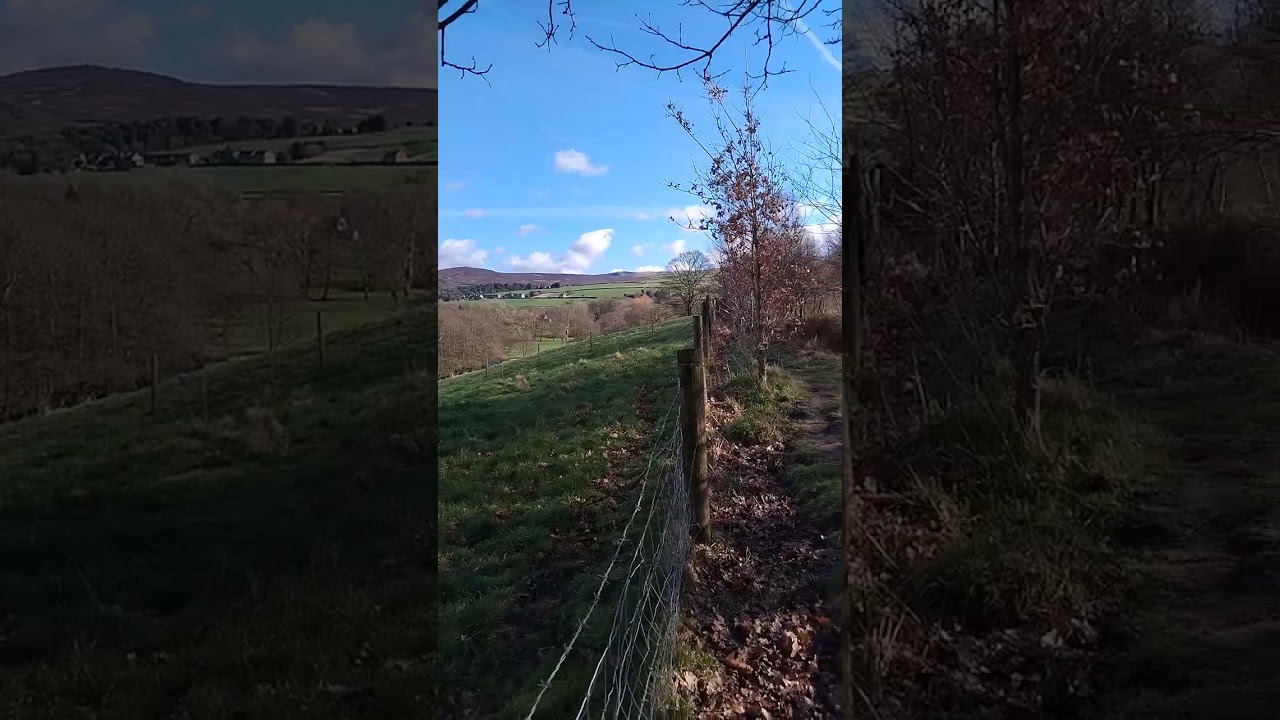 Out walking today on The Sett Valley Trail in Little Hayfield. 🌞