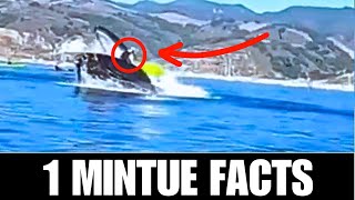 Exclusive Humpback whales can swallow HUMANS? | 1 minute animal facts Details