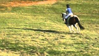 C2 - Cross Country - Cappy