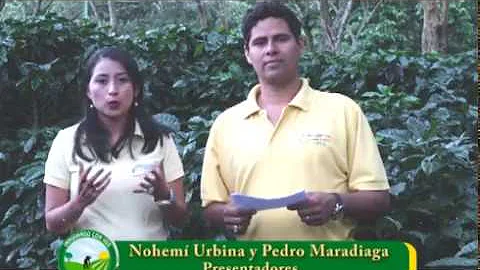 Como aplicar Beauveria?