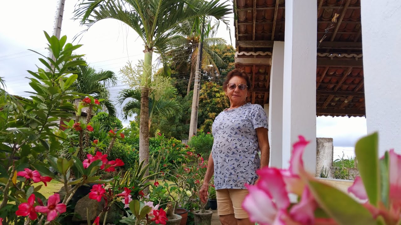 Minhas rosas do deserto 