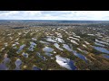 Kemeri National Park - Latvia 4K