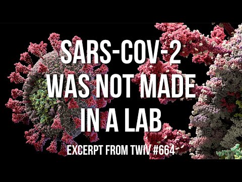Video: Scientists Are Convinced: SARS-CoV-2 Was Not Created In A Laboratory Video: Scientists Are Convinced: SARS-CoV-2 Was Not Created In A Laboratory