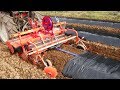 [subtitled]小菊の畝作り　Fertilizer application/Ridging/Bed tiller/Mulch laying/Drip irrigation