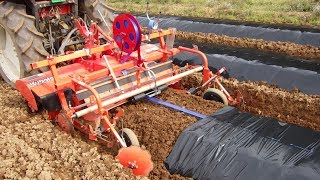 [subtitled]小菊の畝作り　Fertilizer application/Ridging/Bed tiller/Mulch laying/Drip irrigation