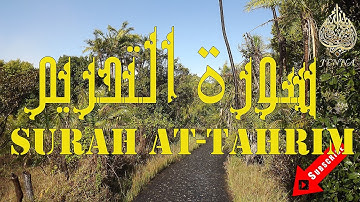 🛑 Surah At-Tahrim Abdullah Al Juhani 🛑 سورۃ التحریم تلاوة هادئة عبد الله الجهني 🛑
