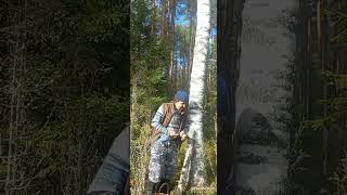 7 октября 2025 г.