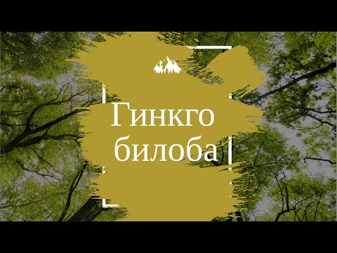 Video: Ginko Biloba: 14 Impresivnih Koristi Za Zdravje, Odmerjanje In Neželeni Učinki