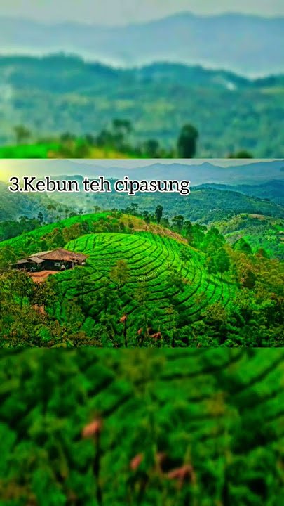 7 Tempat Wisata Populer Di Majalengka #wisata #majalengka #populer #alam #kekinian #hits #viral