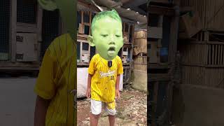 Burung Dara Azriel Di Lepas Azkakalau Kalian Melihara Hewan Apa Di Rumah