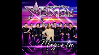 Magenta Grupo Adixion I Love Cumbia