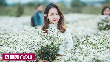 Chen lấn, tranh chỗ để chụp ảnh cúc họa mi