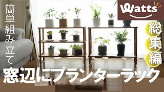 プチプラ・ラックで模様替え【Watts】観葉植物プランターラック 100均 DIY 棚 まとめ｜多彩な提案動画