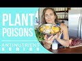 Are Plants Poison? || Antinutrient Series + The Poisons I Ate Today