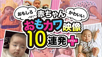 赤ちゃんおもしろ動画 Mp3