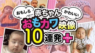 【赤ちゃんのおもしろ＆かわいい映像10連発+写真館】（生後2ヶ月〜11ヶ月）