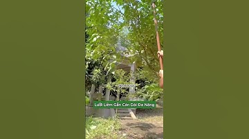 Lưỡi liềm gắn cán dài đa năng tiện lợi vid2