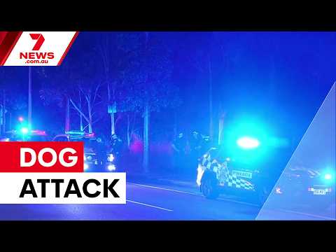 Man fights for life after Brisbane dog attack | 7NEWS