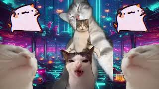 Show It 2 Me by Nightclub But It&#39;s ALL CATS