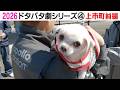2026狂犬病予防注射会場のドタバタ劇④ 上市町前編