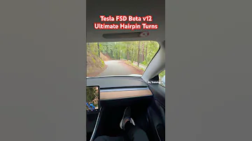 Tesla FSD v12 hairpin turns 🤯🫣🤪#tesla #fsd #fsd12 #fsdbeta #model3