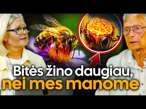 Bitės – gamtos vaistinė: ko dar nežinome apie jų dovanas?