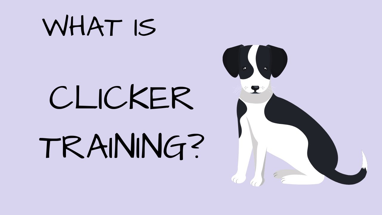 Clicker Meaning 