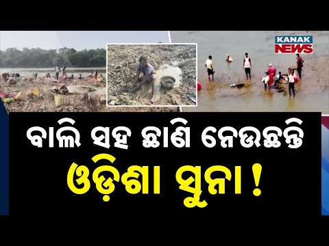ବାଲିରୁ ମିଳୁଛି କି ସୁନା? | Mayurbhanj Gold Mystery | Are Workers Finding Gold From Budhabalanga Sand?