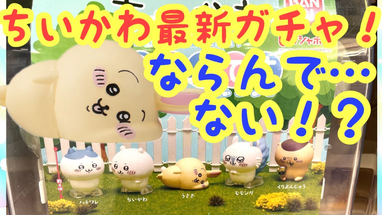 ちいかわ - ちいかわ　ならぶんです　ハチワレ　うさぎ　モモンガ　くりまんじゅう　ガチャコンプ ちいかわ ならぶんです。』発売！ | がちゃぽん情報