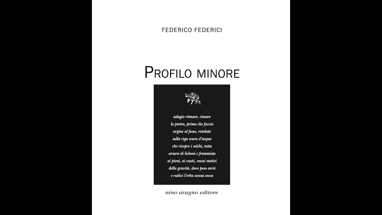 Profilo Minore - Tentativo di pesare la luce