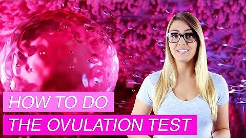 How and when to do the ovulation test? How to read the results? When to begin testing?