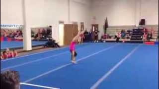 Level 3 State Floor Routine 2013