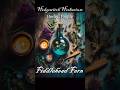 Herbal Profile: Fiddlehead Fern - Magical Properties & more! #herbal #magic #fiddleheadfern #ferns