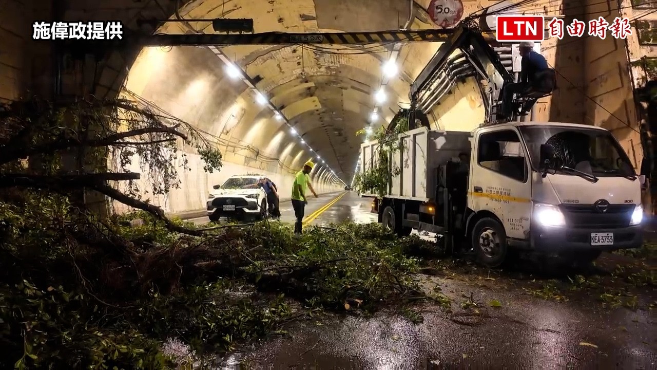 基隆光華隧道邊坡大樹倒塌砸車！車毀人平安