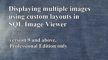 Displaying multiple images and overlaying text fields in SQL Image Viewer